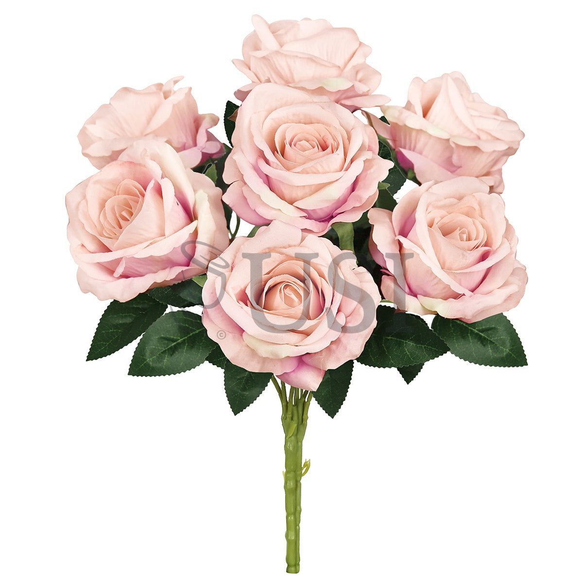 Velvet Rose Bush x7, 16in, Blush