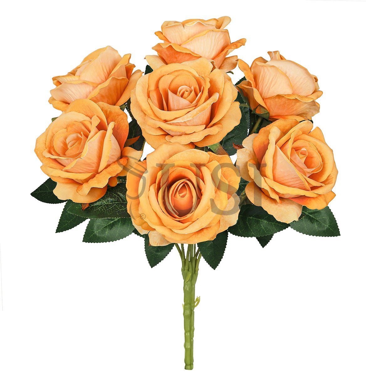 Velvet Rose Bush x7, 16in, Orange