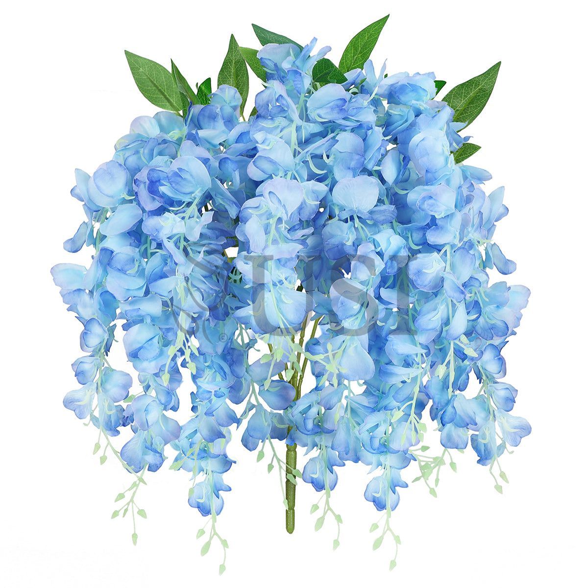 Wisteria Hanging Flower Bush x15, 30in, Blue