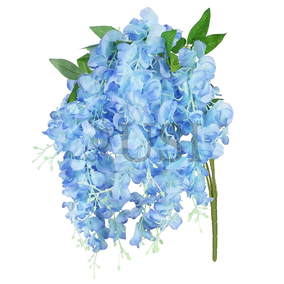 Wisteria Hanging Flower Bush x15, 30in, Blue