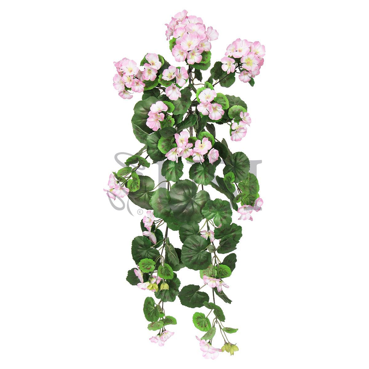 Geranium Hanging Flower Bush, 30in, Pink