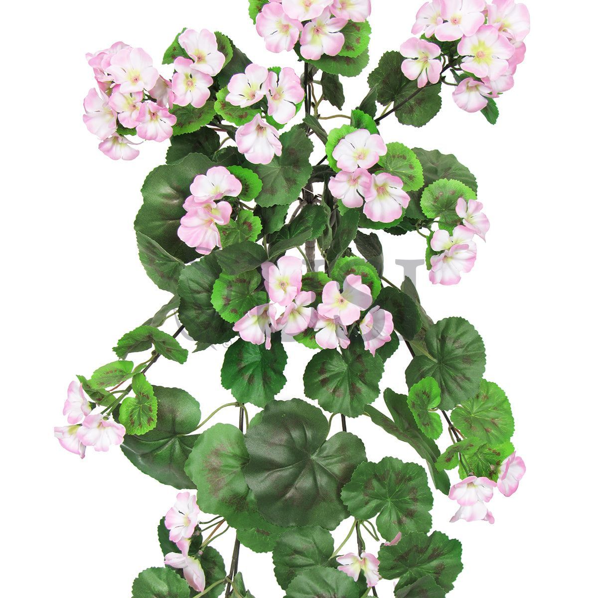 Geranium Hanging Flower Bush, 30in, Pink