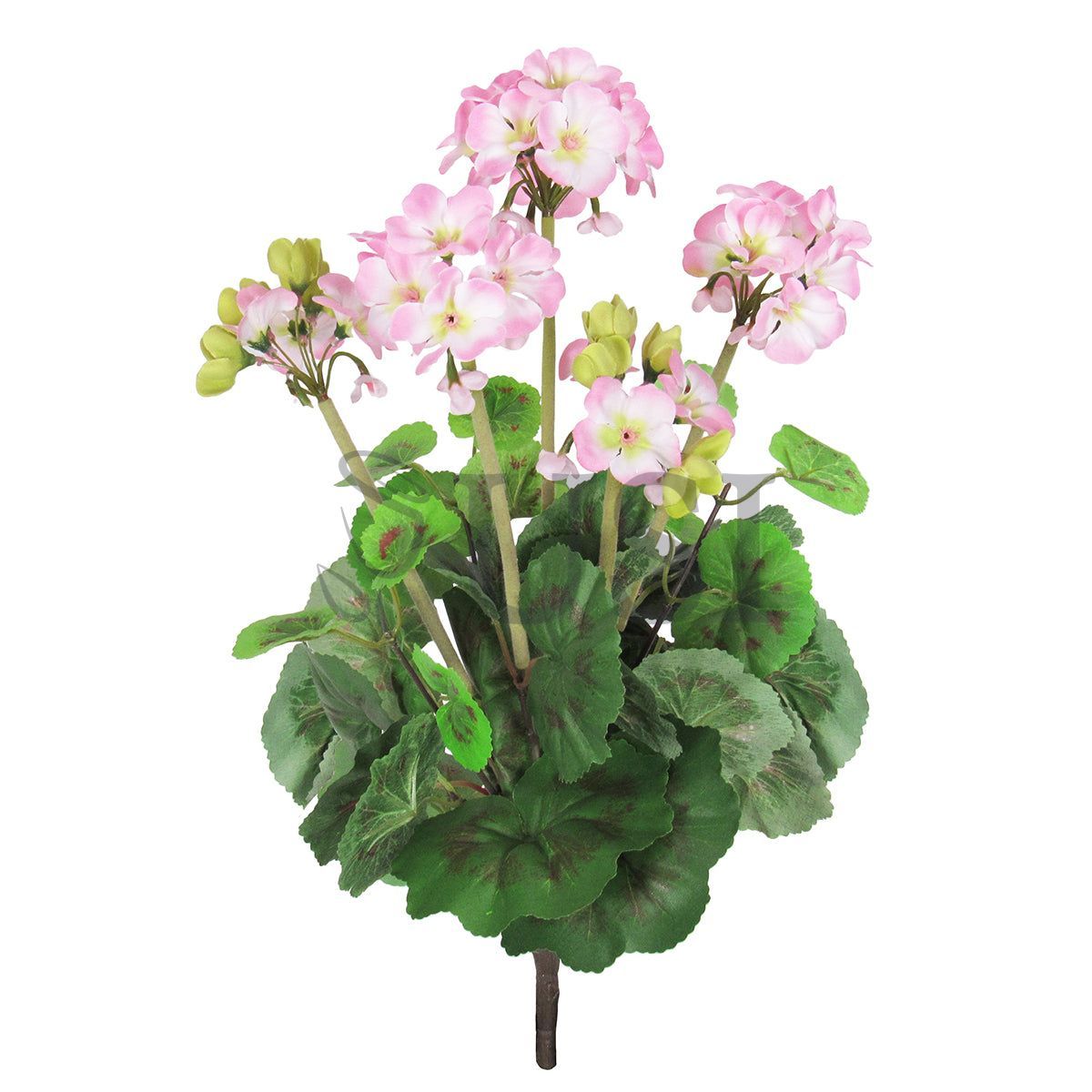 Geranium Flower Bush, 16in, Pink