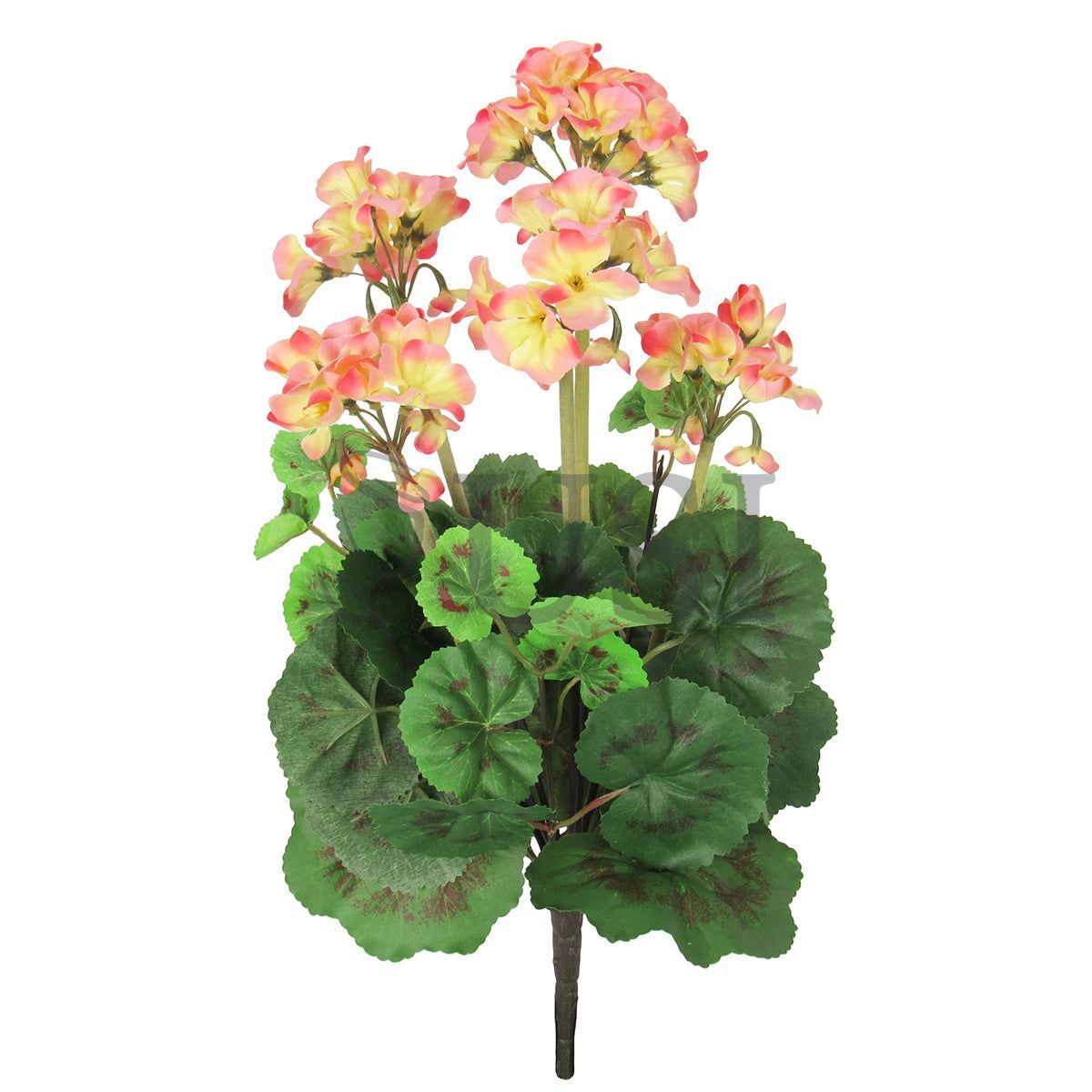 Geranium Flower Bush, 16in, Peach
