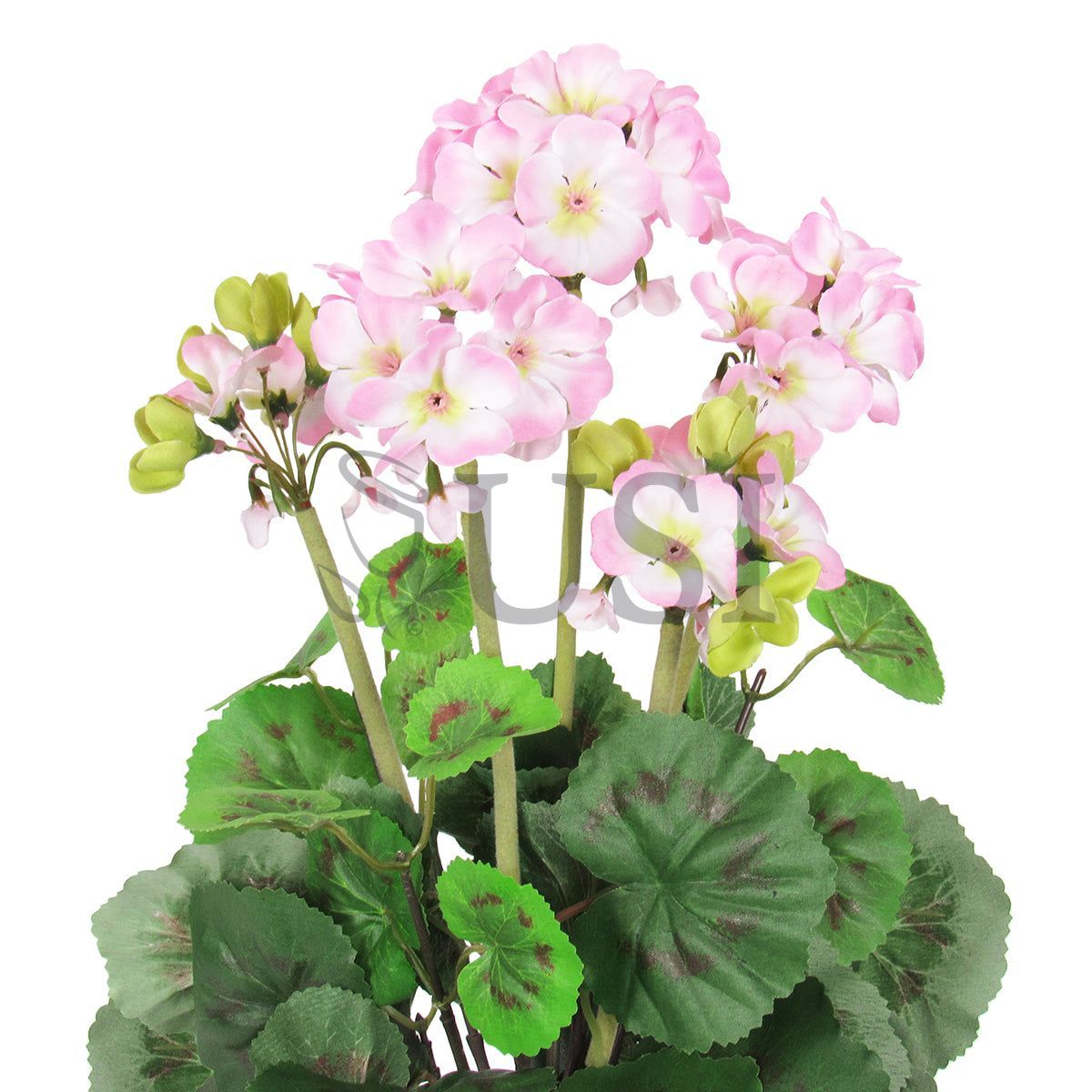 Geranium Flower Bush, 16in, Pink