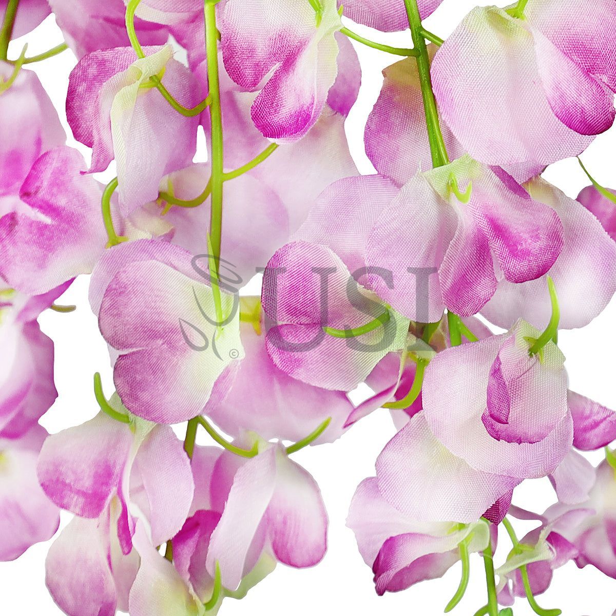 Wisteria Hanging Flower Bush x5, 24in, Lavender