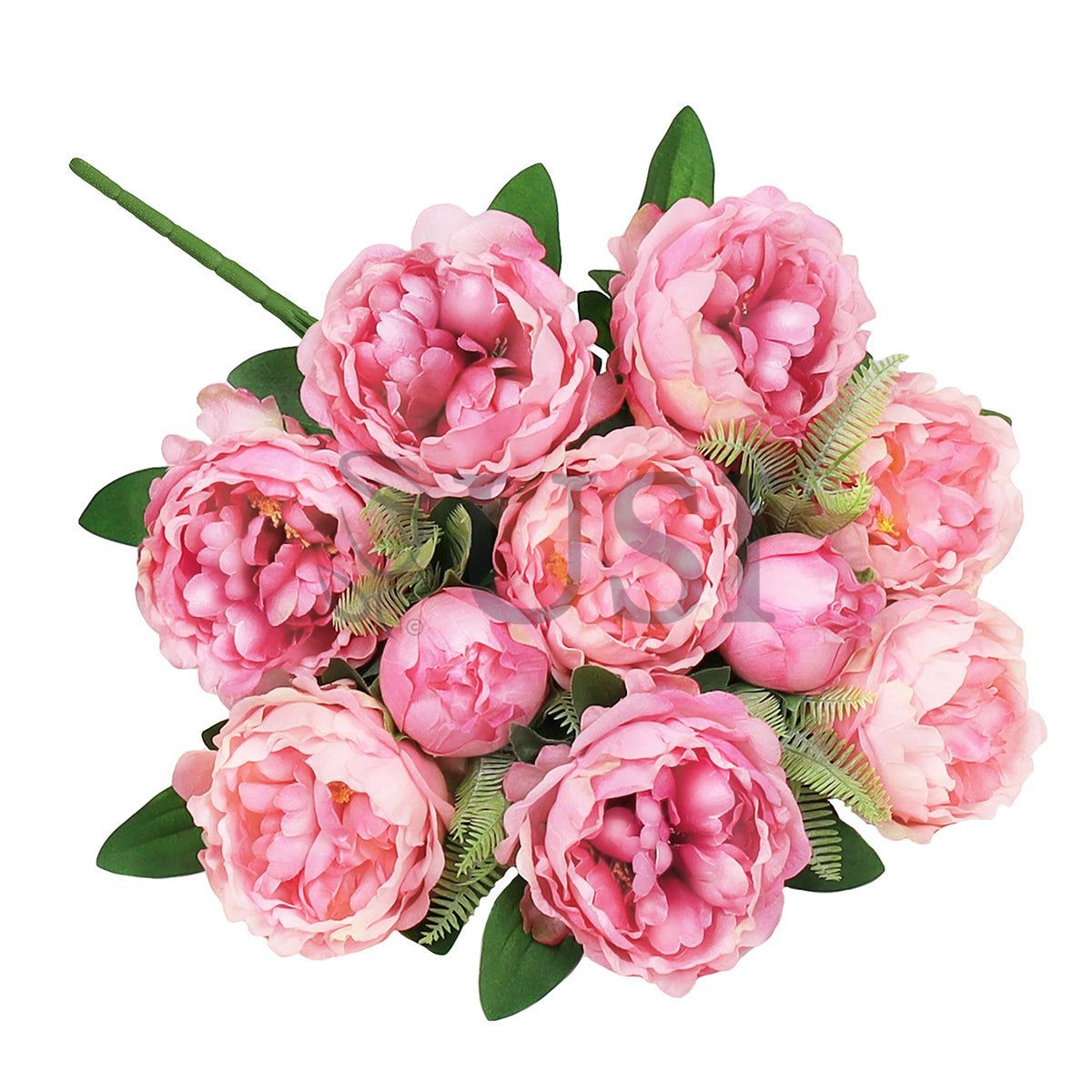 Lush Peony Flower Bush x10, 20in, Fuchsia Pink