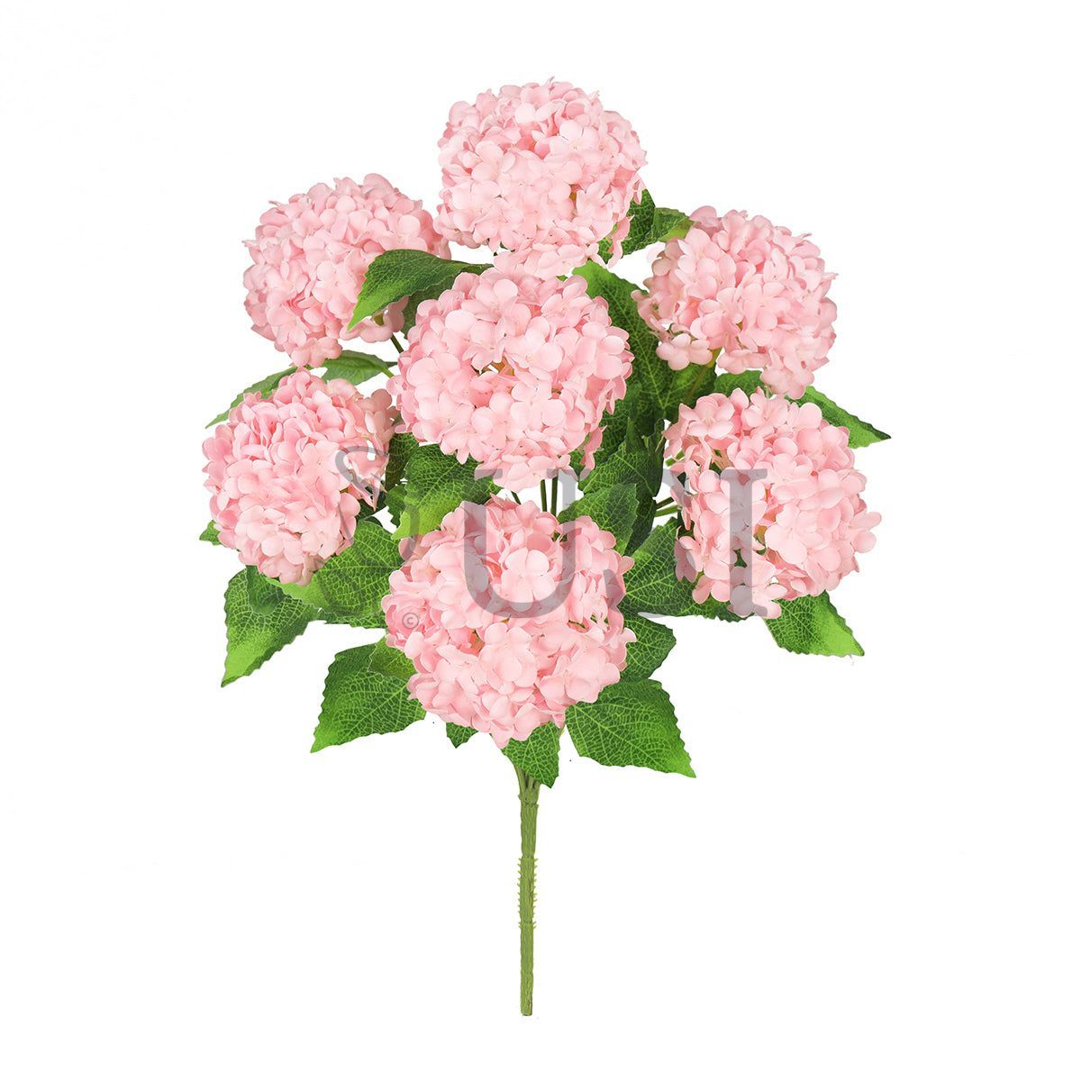 Guelder Rose Snow Ball Flower Bush, 12in, Blush Pink