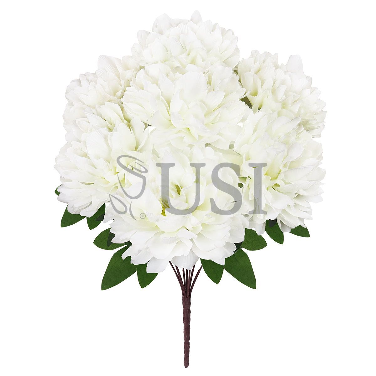 Lush Hybrid Peony Flower Bush x7, 17in, Cream White