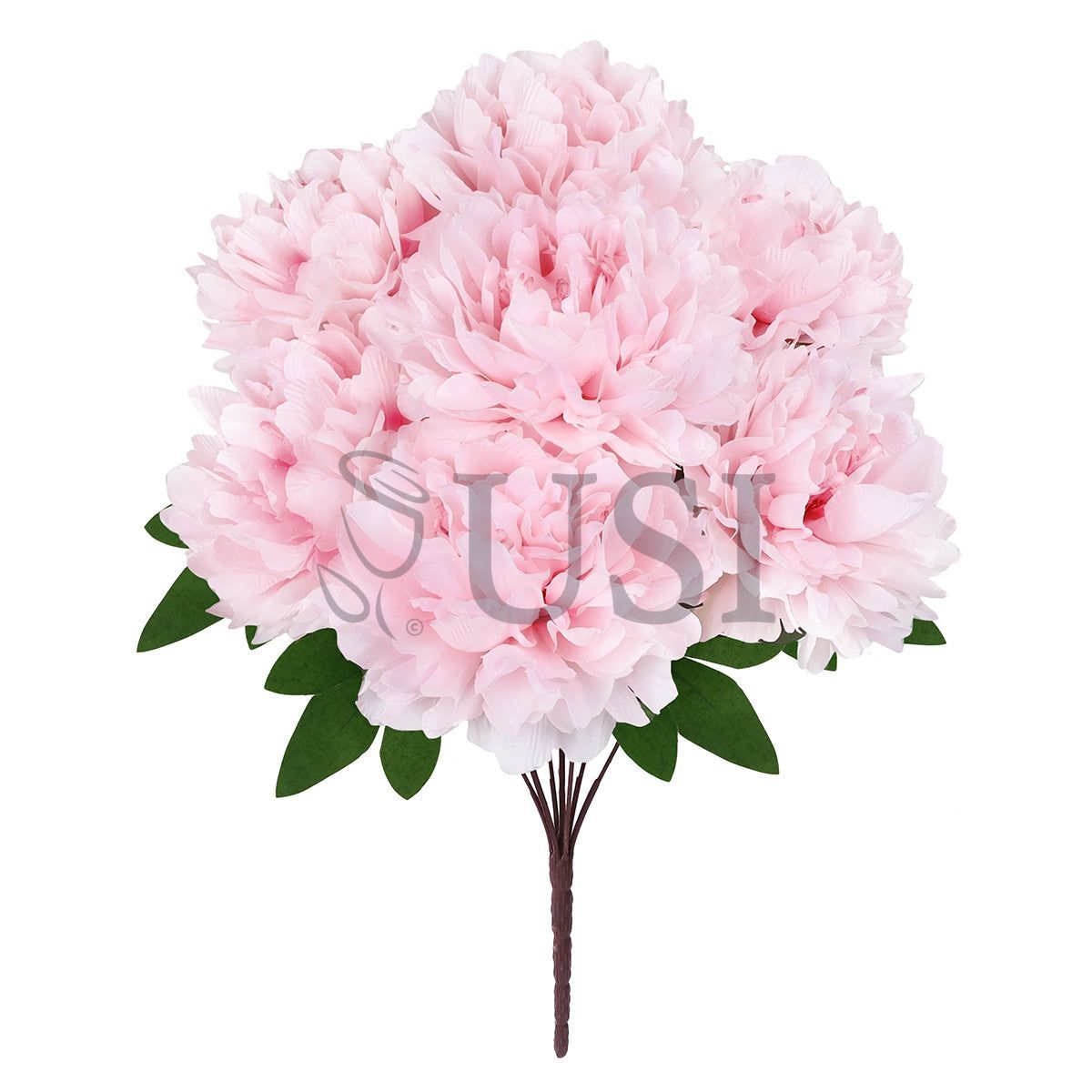 Lush Hybrid Peony Flower Bush x7, 17in, Light Pink