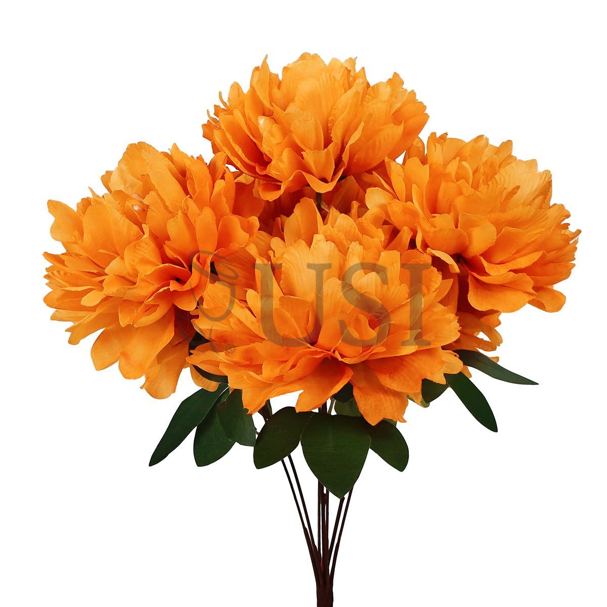 Lush Hybrid Peony Flower Bush x7, 17in, Orange
