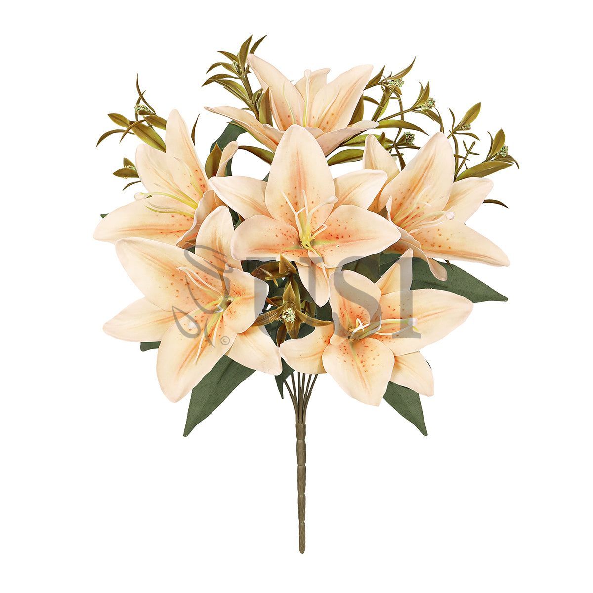 Stargazer Lily Flower Bush w Filler x6, 13in, Champagne Peach