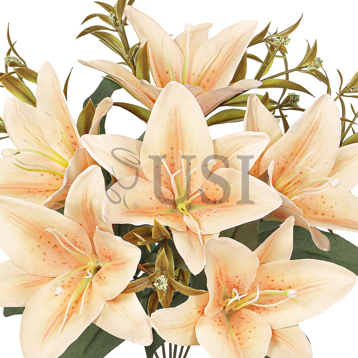 Stargazer Lily Flower Bush w Filler x6, 13in, Champagne Peach