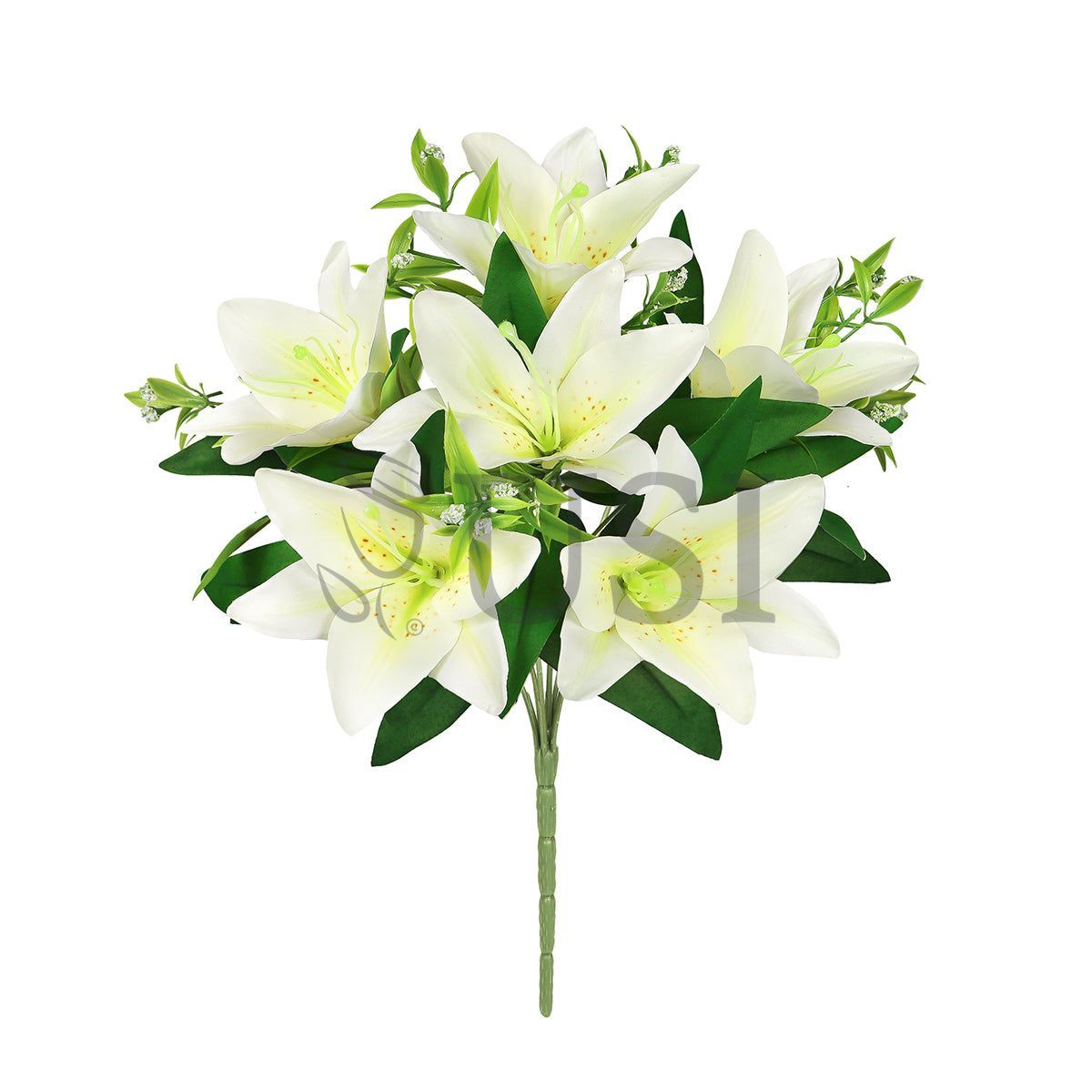 Stargazer Lily Flower Bush w Filler x6, 13in, Cream White