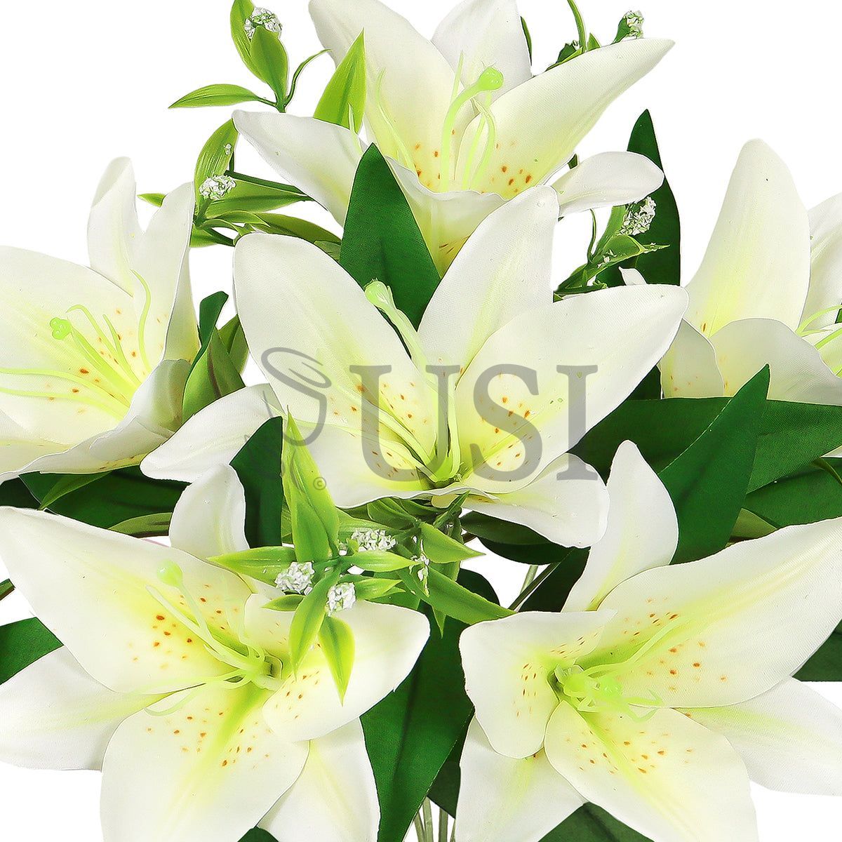 Stargazer Lily Flower Bush w Filler x6, 13in, Cream White