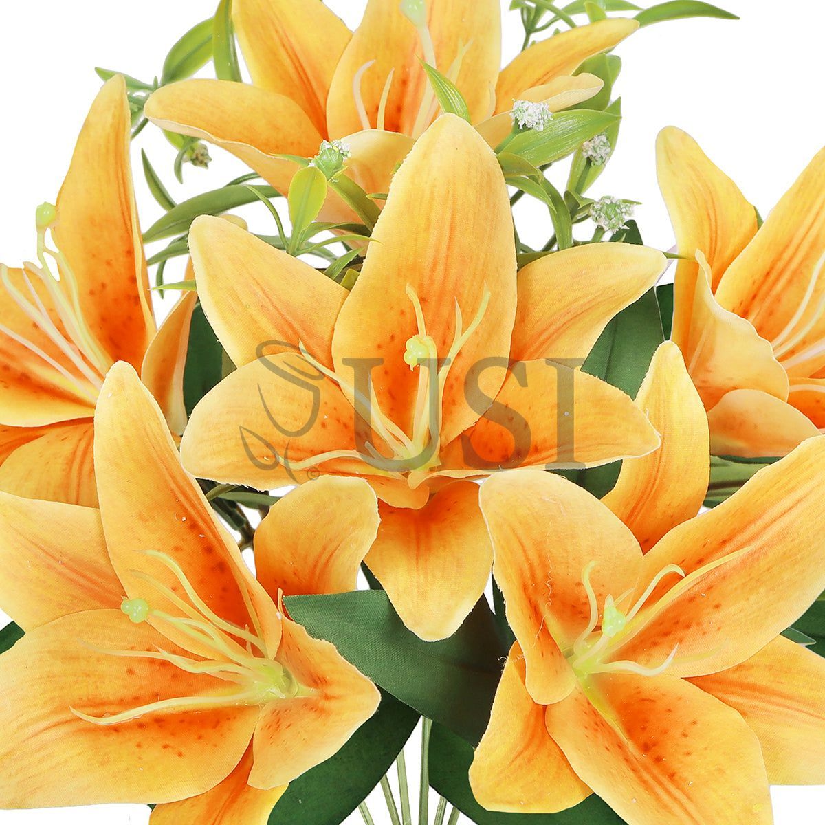 Stargazer Lily Flower Bush w Filler x6, 13in, Orange