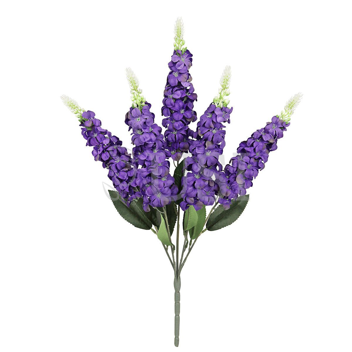 Larkspur Flower Bush x5, 23in, Purple