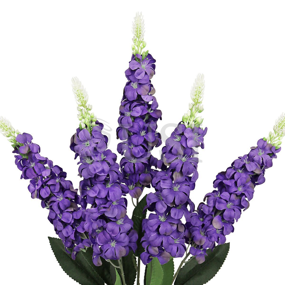 Larkspur Flower Bush x5, 23in, Purple