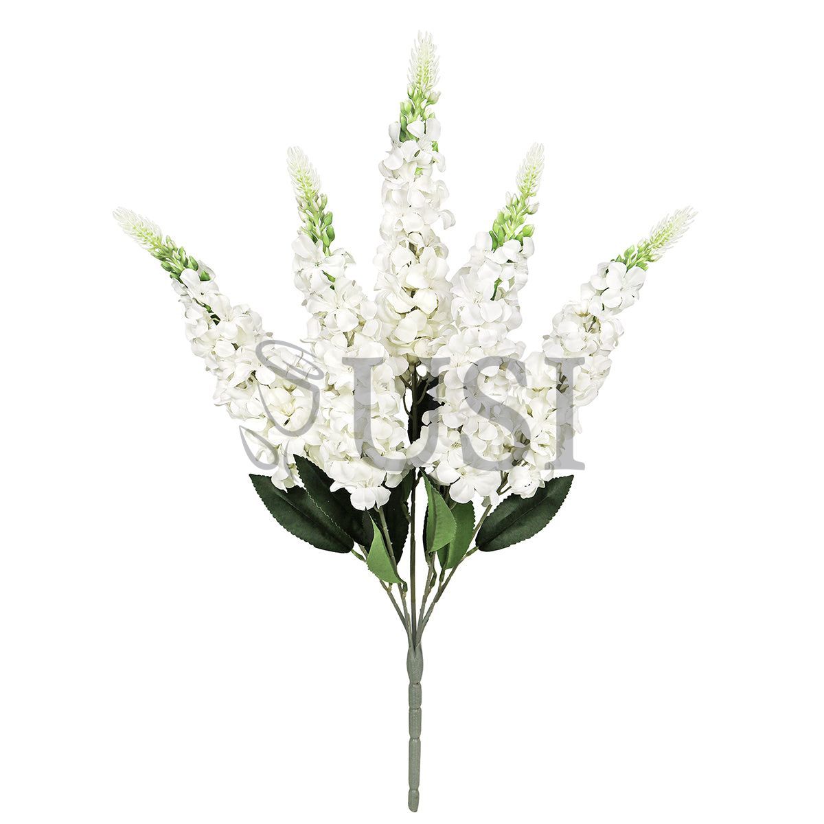 Larkspur Flower Bush x5, 23in, White