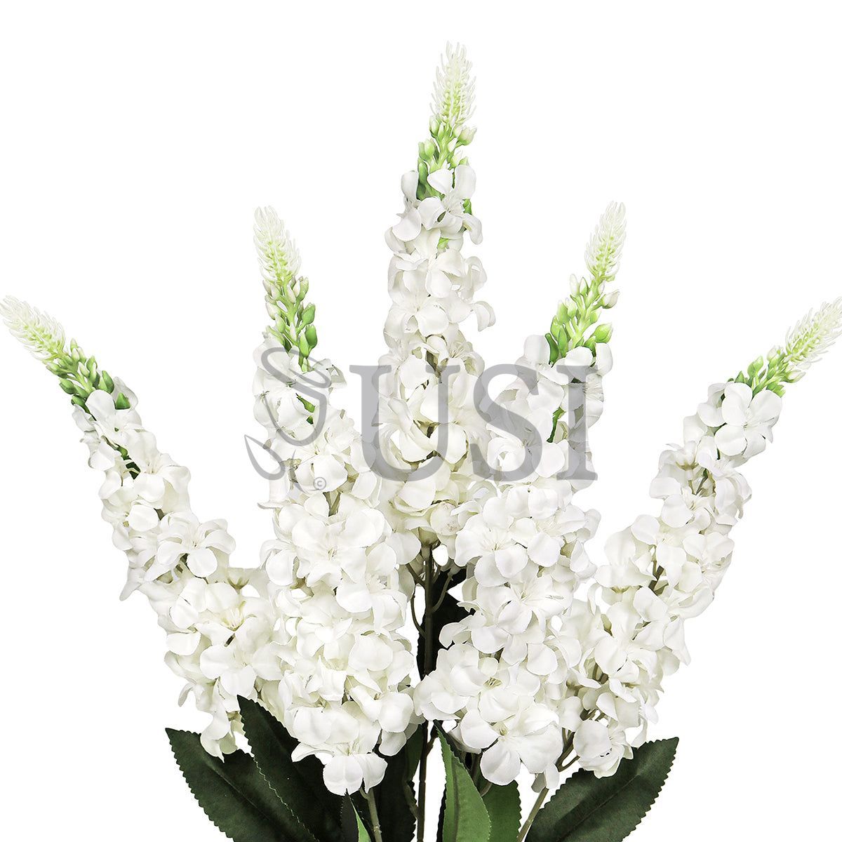 Larkspur Flower Bush x5, 23in, White
