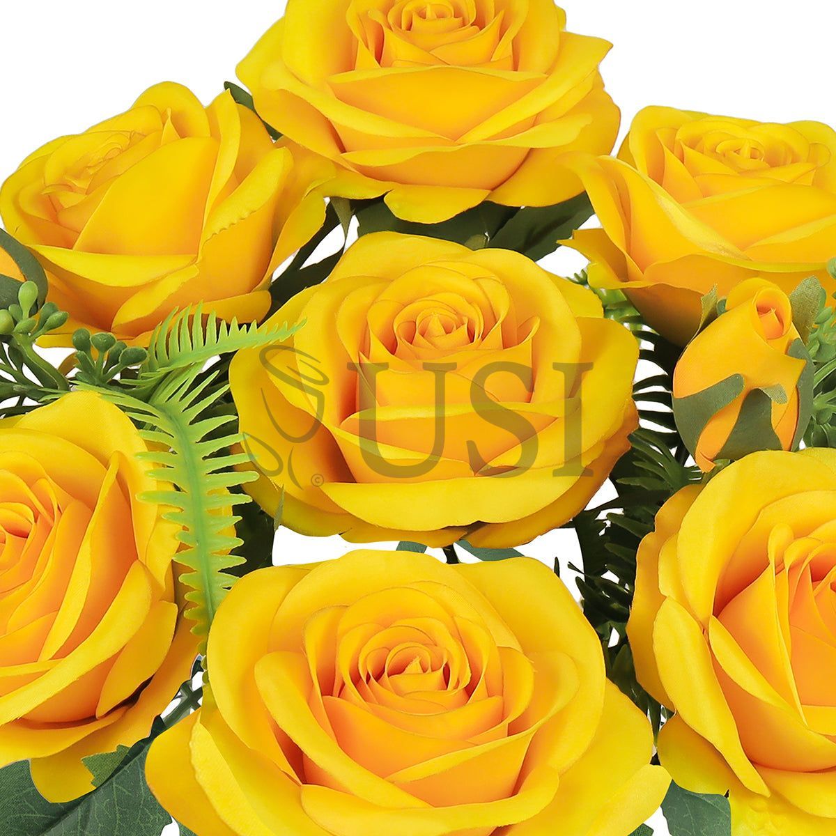 Forever Spring Rose Bush w Filler x9, 18in, Yellow