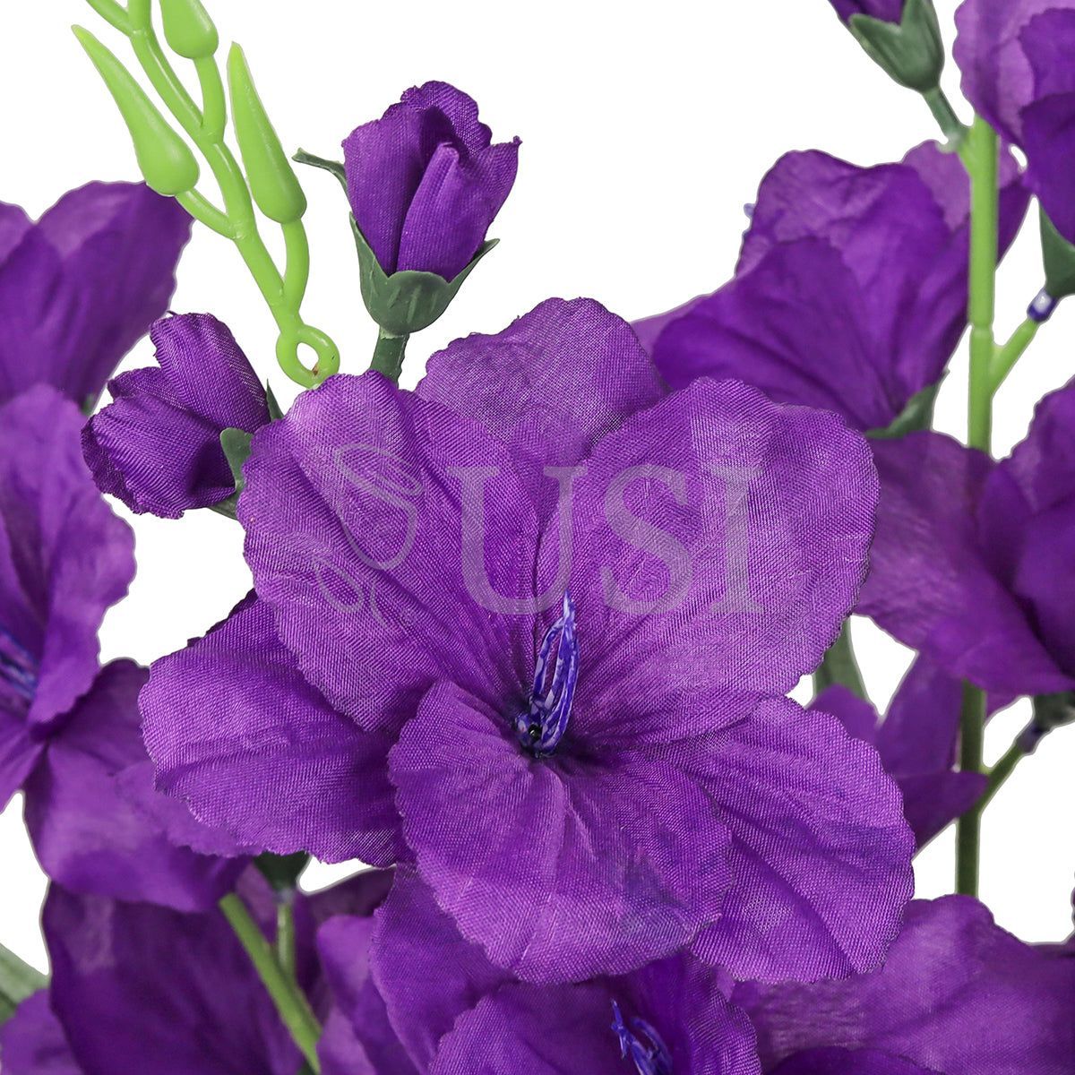 Standard Gladiolus Flower Bush x5, 24in, Purple