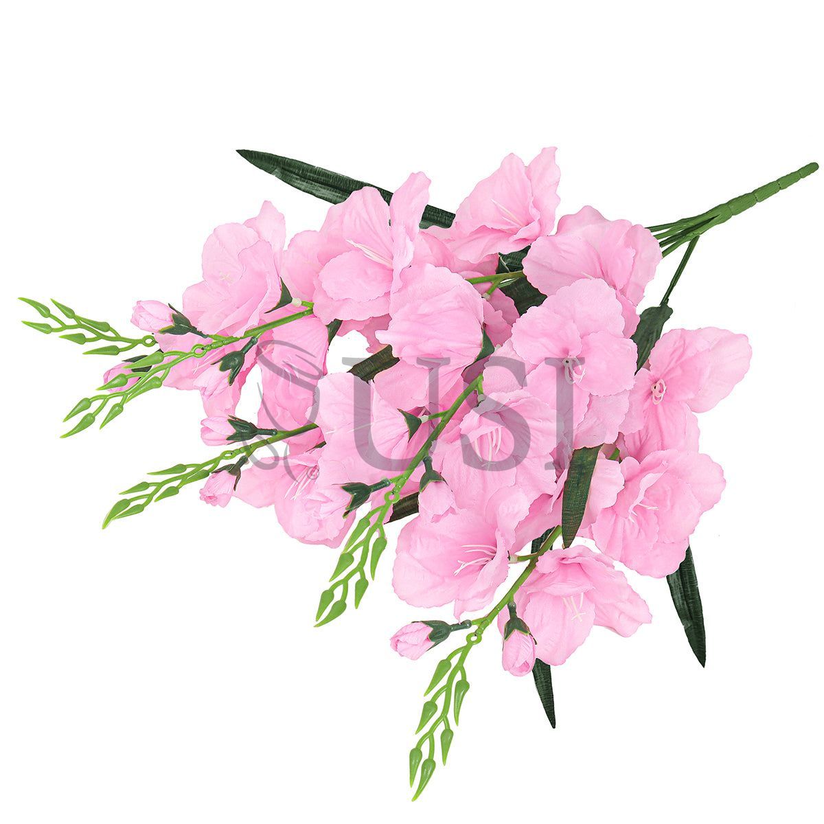 Standard Gladiolus Flower Bush x5, 24in, Pink