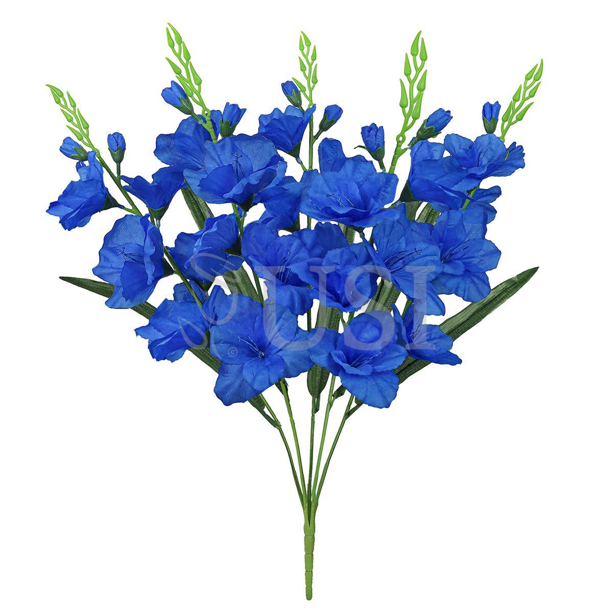 Standard Gladiolus Flower Bush x5, 24in, Royal Blue