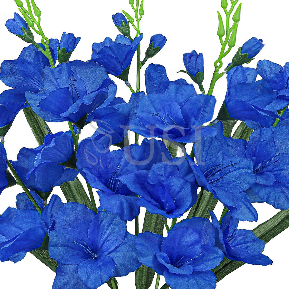 Standard Gladiolus Flower Bush x5, 24in, Royal Blue