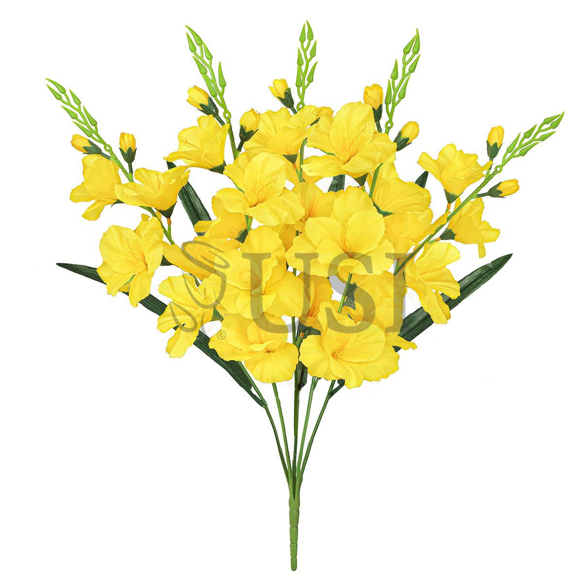 Standard Gladiolus Flower Bush x5, 24in, Yellow