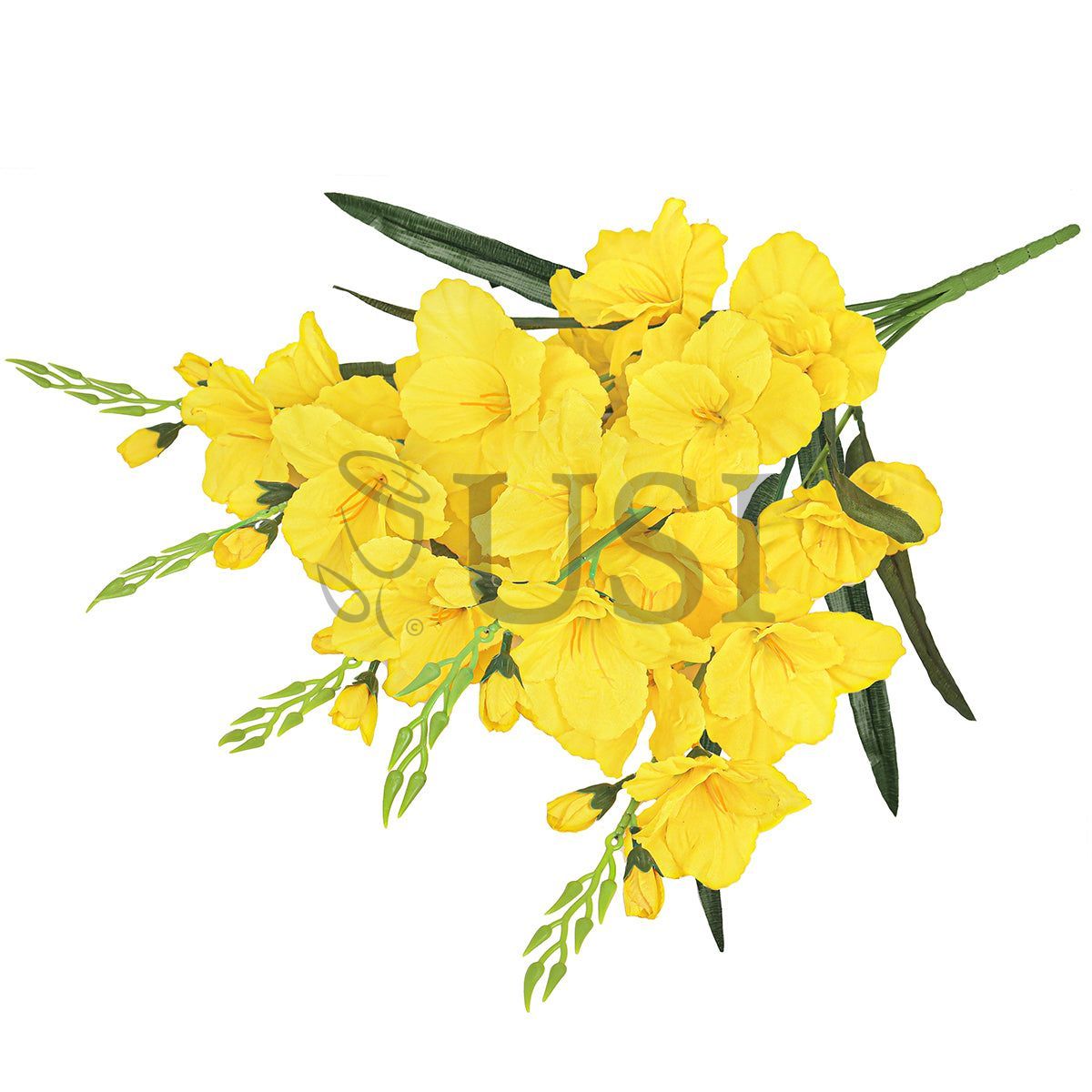 Standard Gladiolus Flower Bush x5, 24in, Yellow