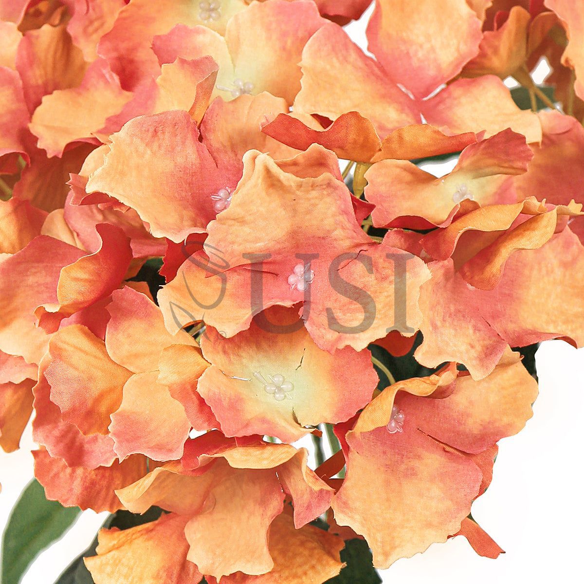 Hydrangea Flower Bush x5, 19in, Dusty Orange