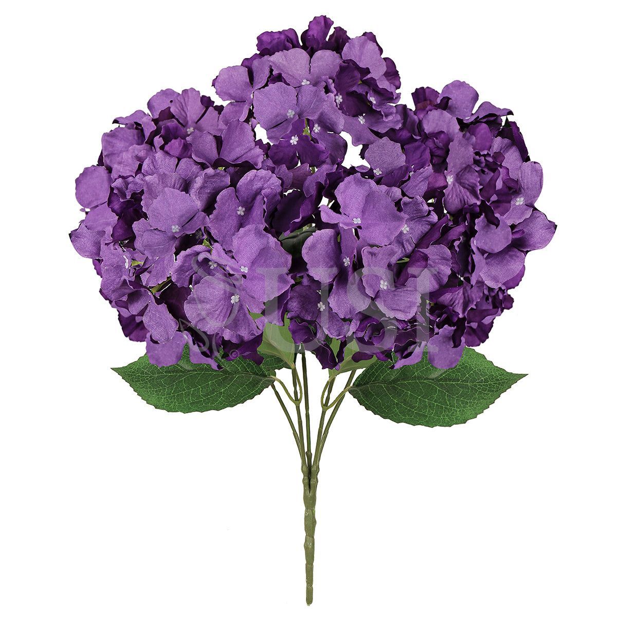 Hydrangea Flower Bush x5, 19in, Purple