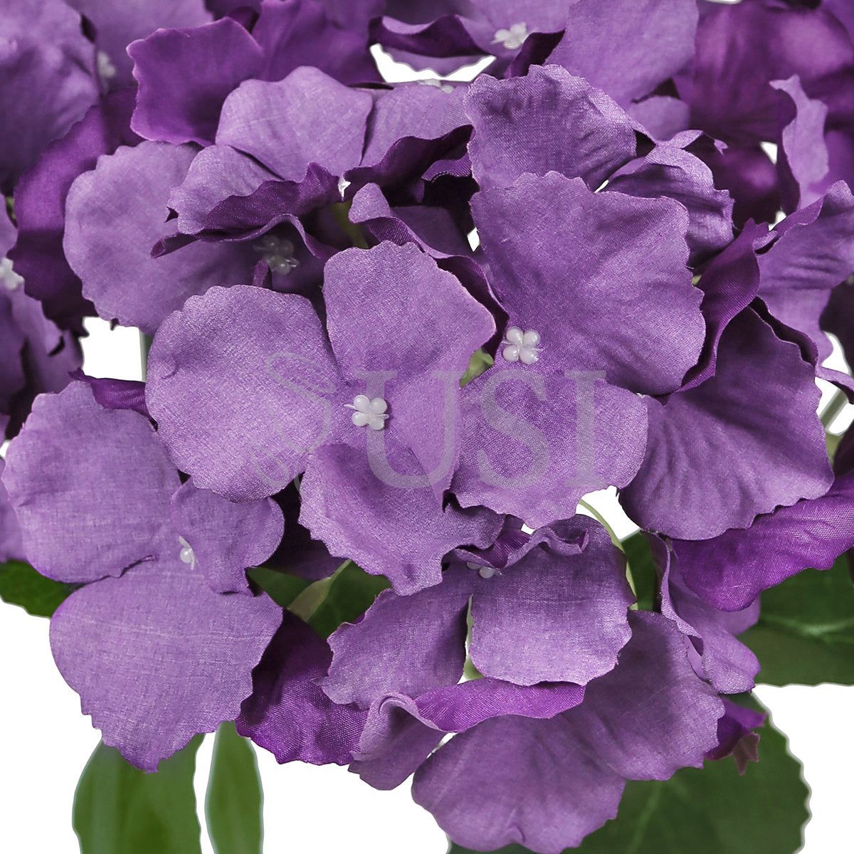 Hydrangea Flower Bush x5, 19in, Purple