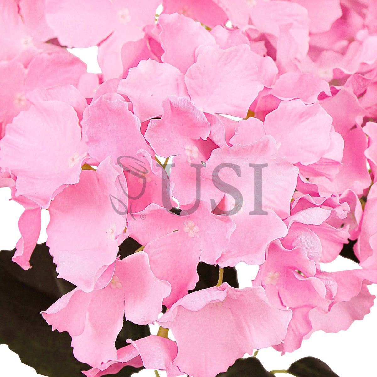 Hydrangea Flower Bush x5, 19in, Pink