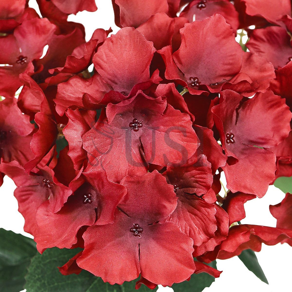 Hydrangea Flower Bush x5, 19in, Red
