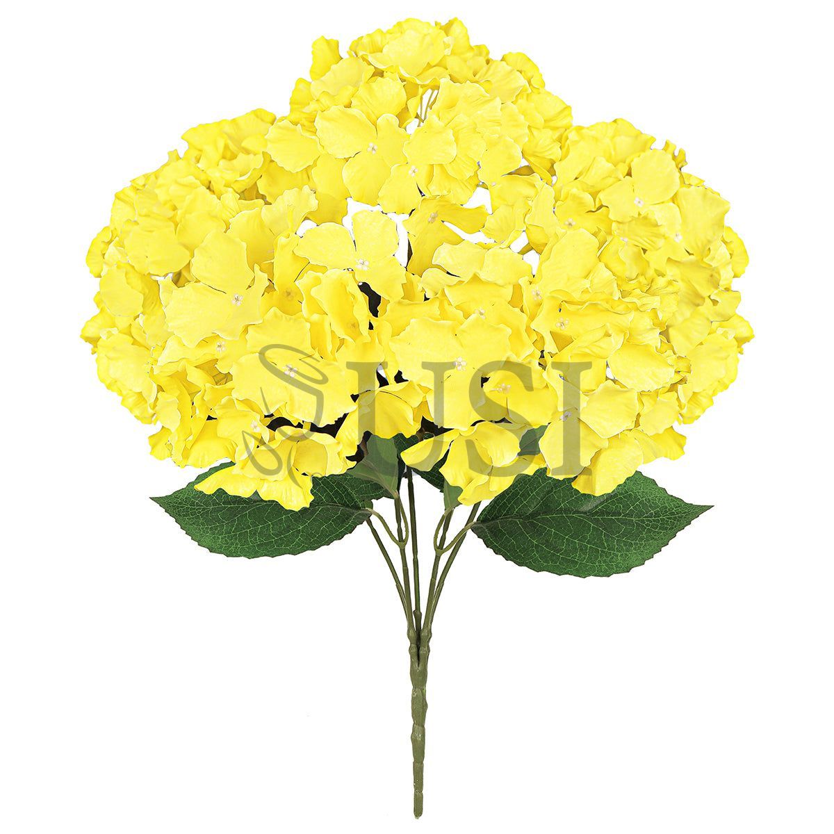 Hydrangea Flower Bush x5, 19in, Yellow