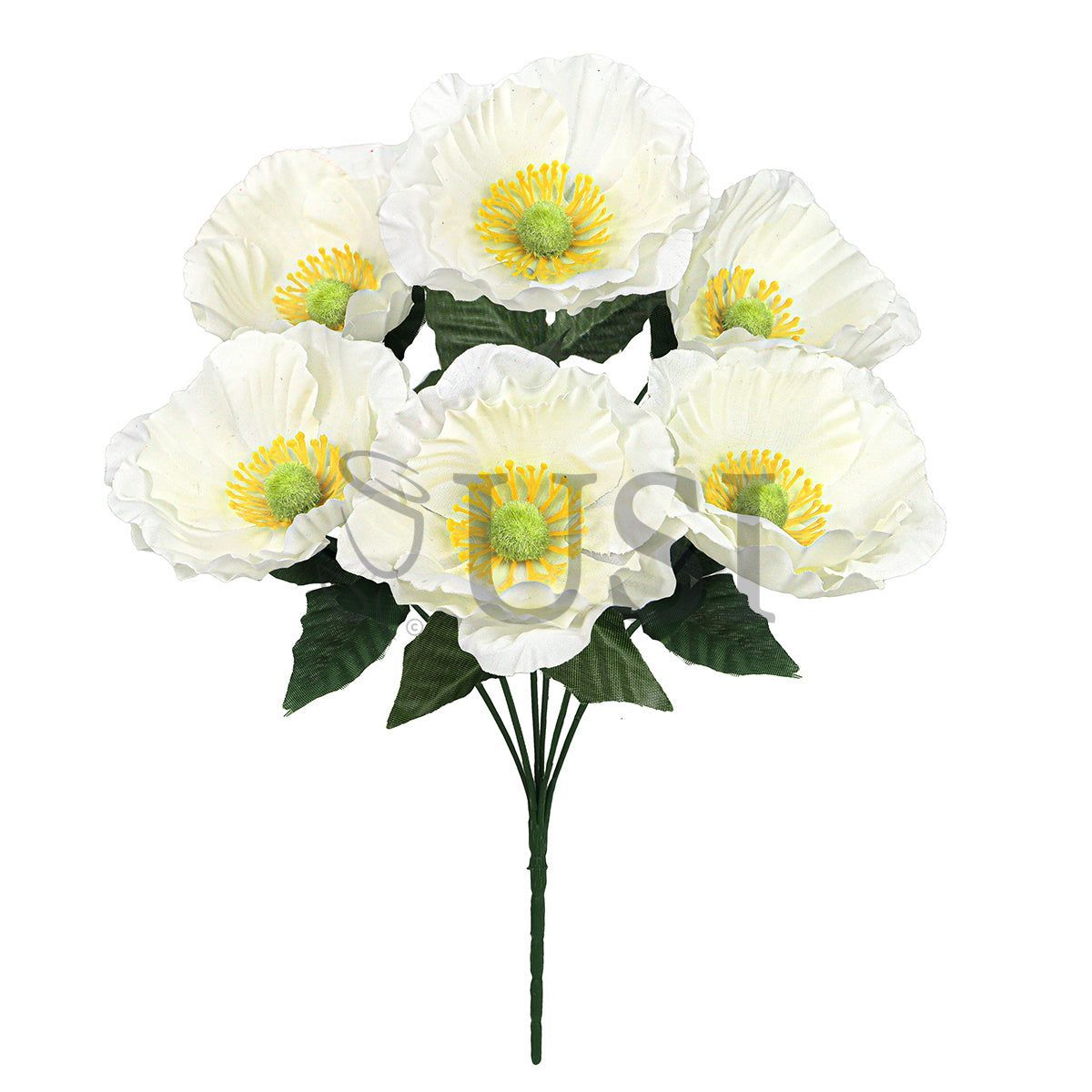 Standard Poppy Flower Bush x6, 14in, Cream White