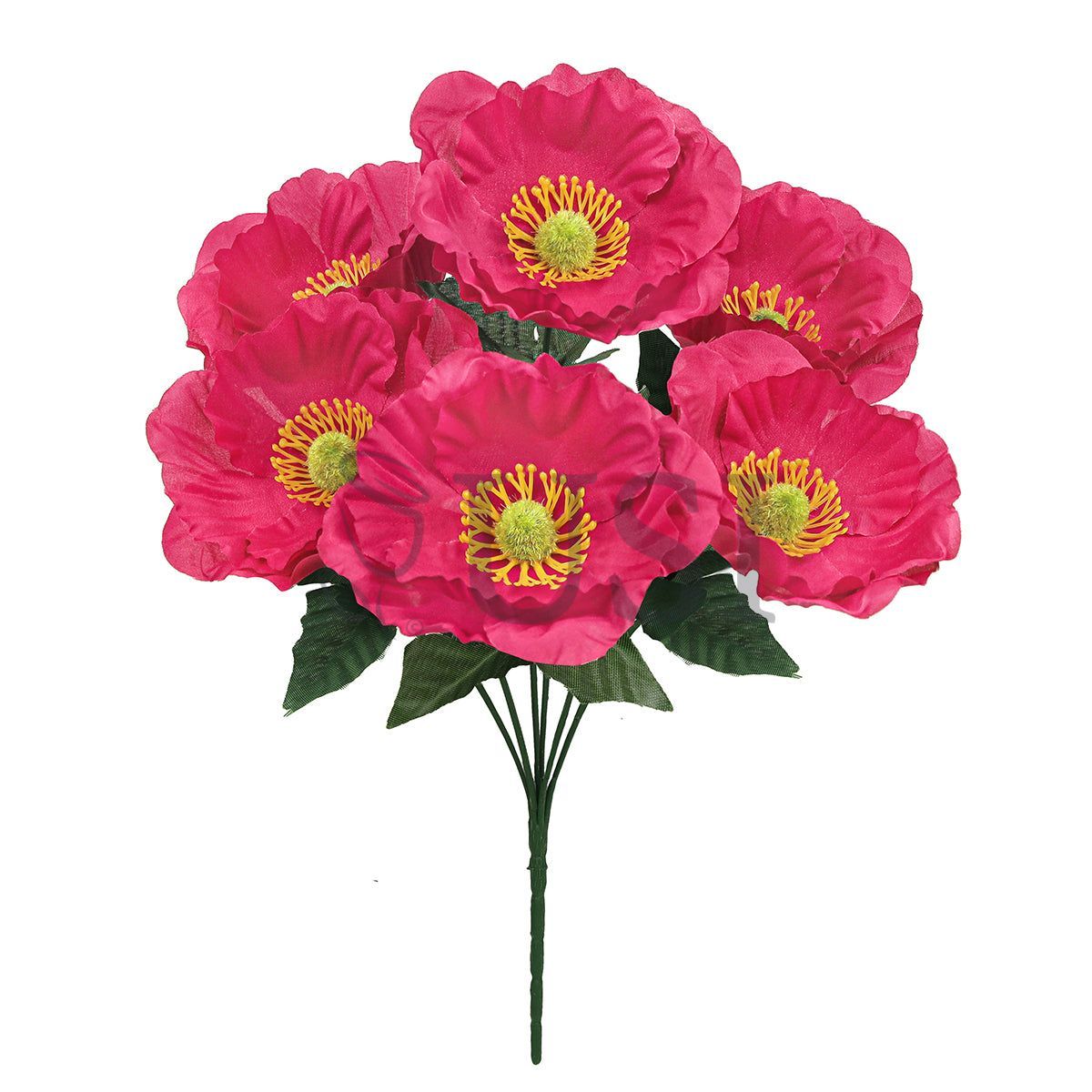 Standard Poppy Flower Bush x6, 14in, Hot Pink