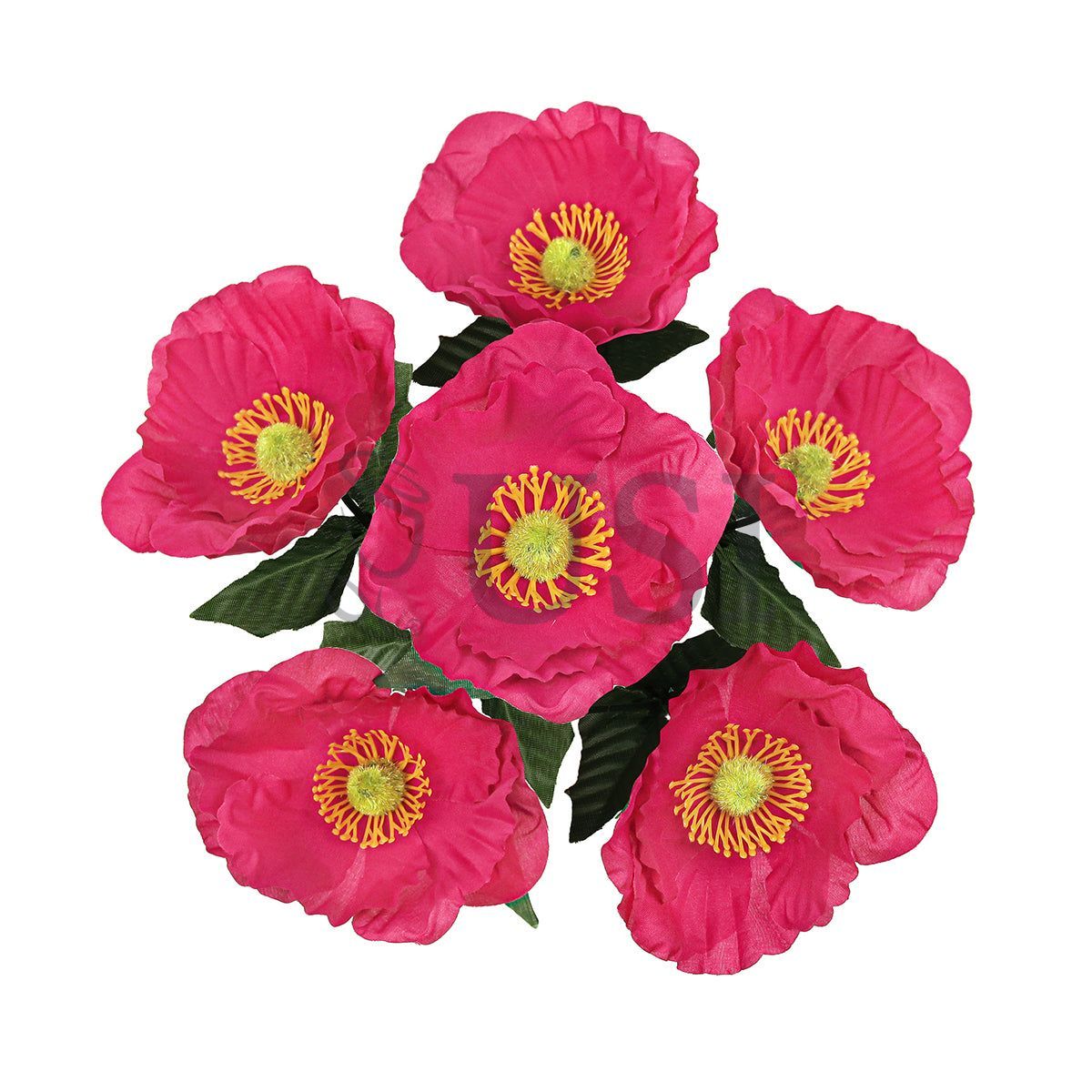 Standard Poppy Flower Bush x6, 14in, Hot Pink