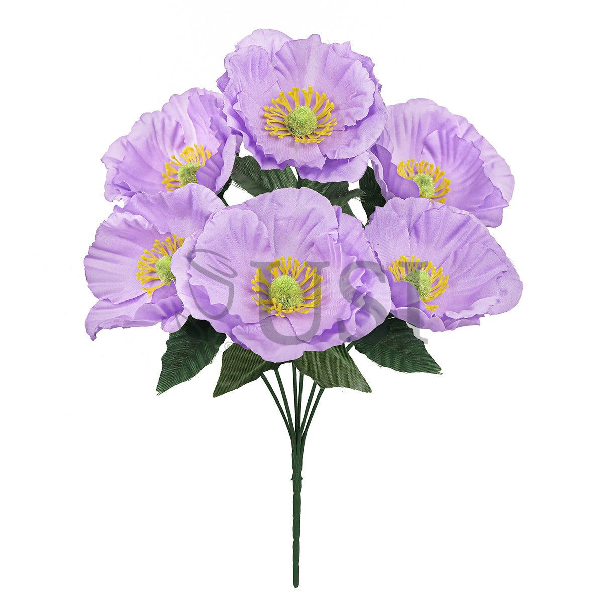 Standard Poppy Flower Bush x6, 14in, Lavender