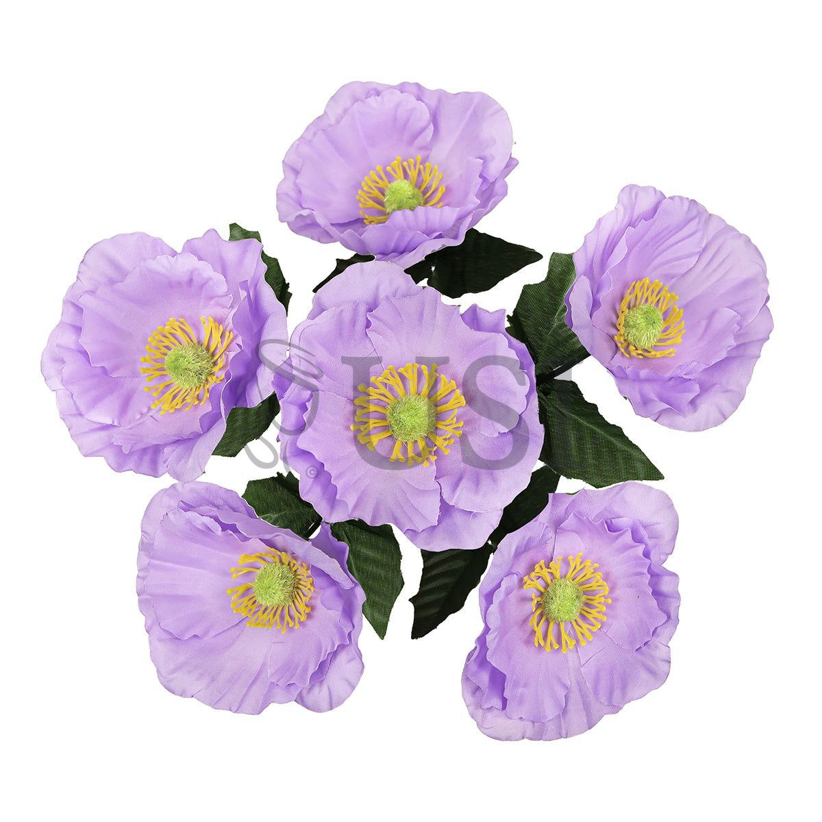 Standard Poppy Flower Bush x6, 14in, Lavender