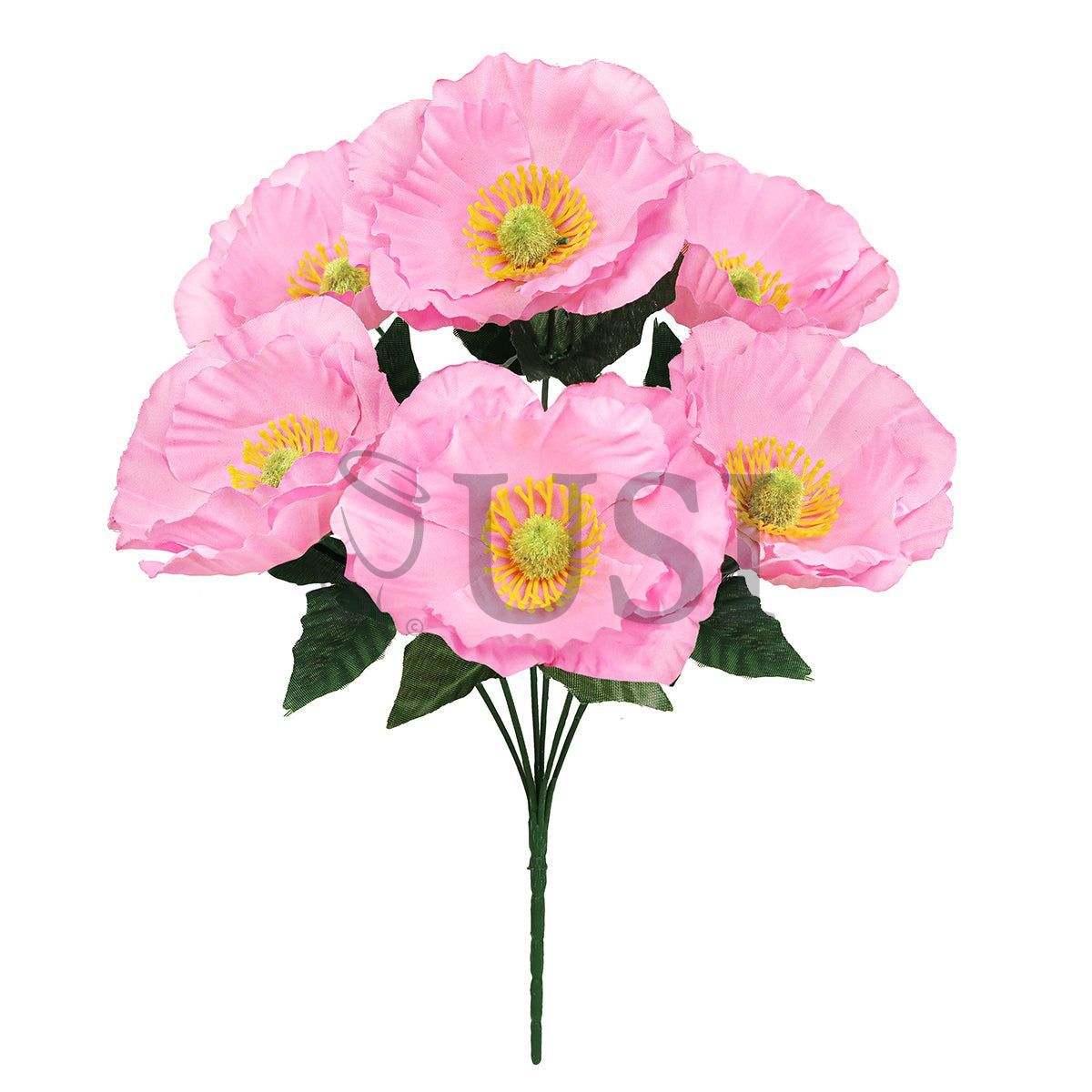 Standard Poppy Flower Bush x6, 14in, Pink
