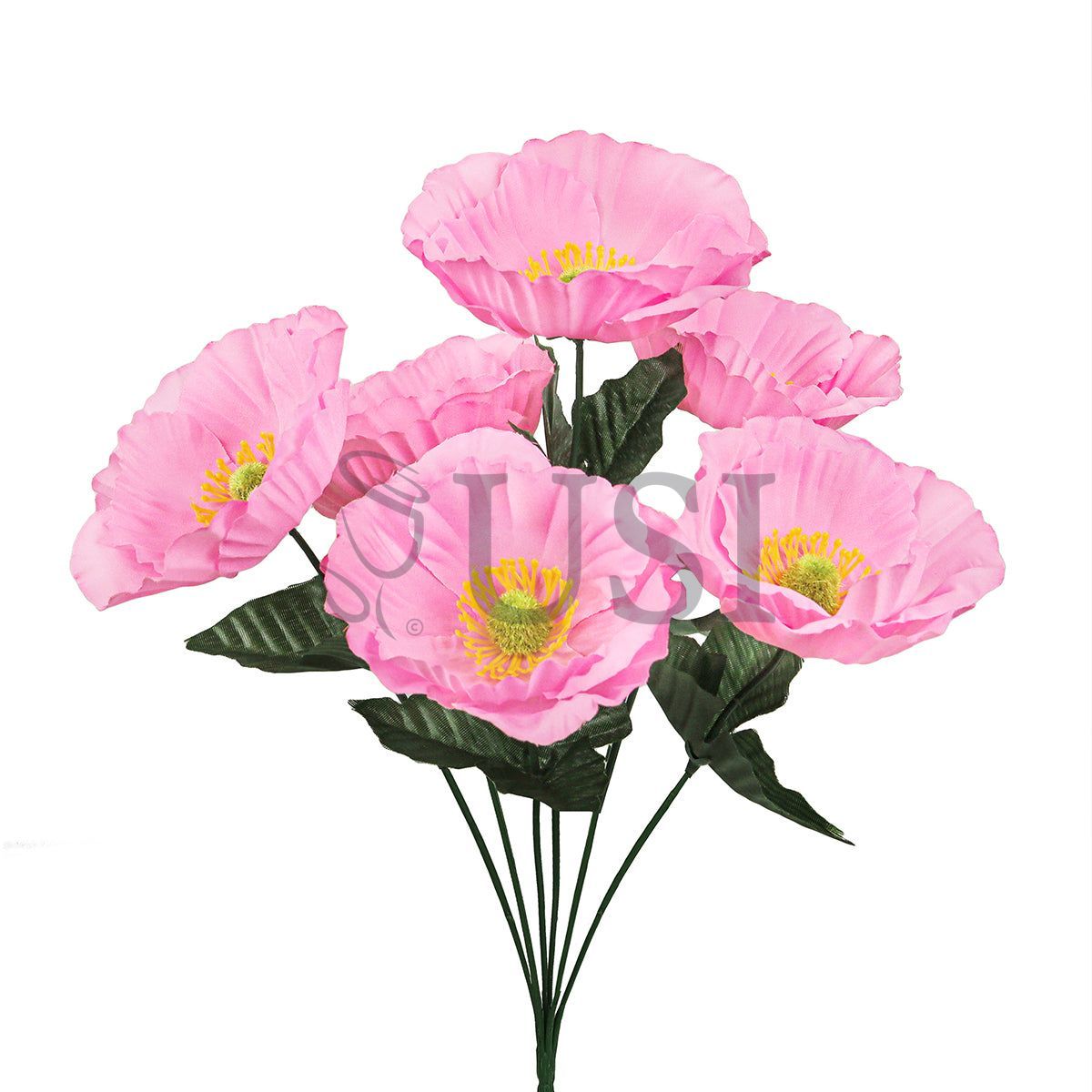 Standard Poppy Flower Bush x6, 14in, Pink