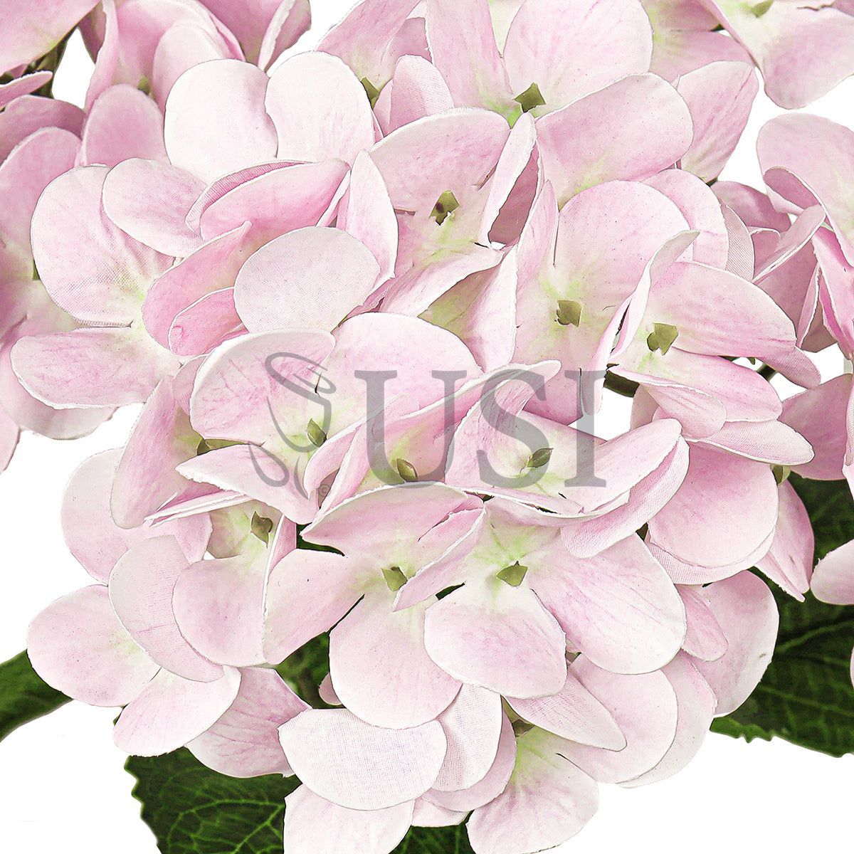 Hydrangea Flower Bush Natural Touch x5, 18in, Light Pink