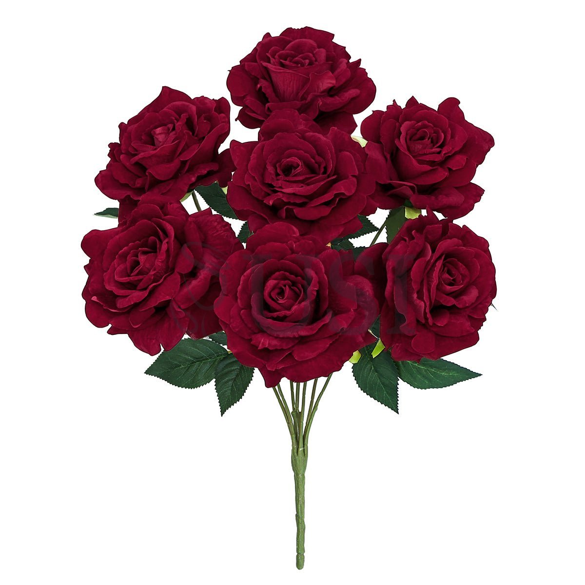 Velvet Grand Rose Flower Bush x7, 20in, Red