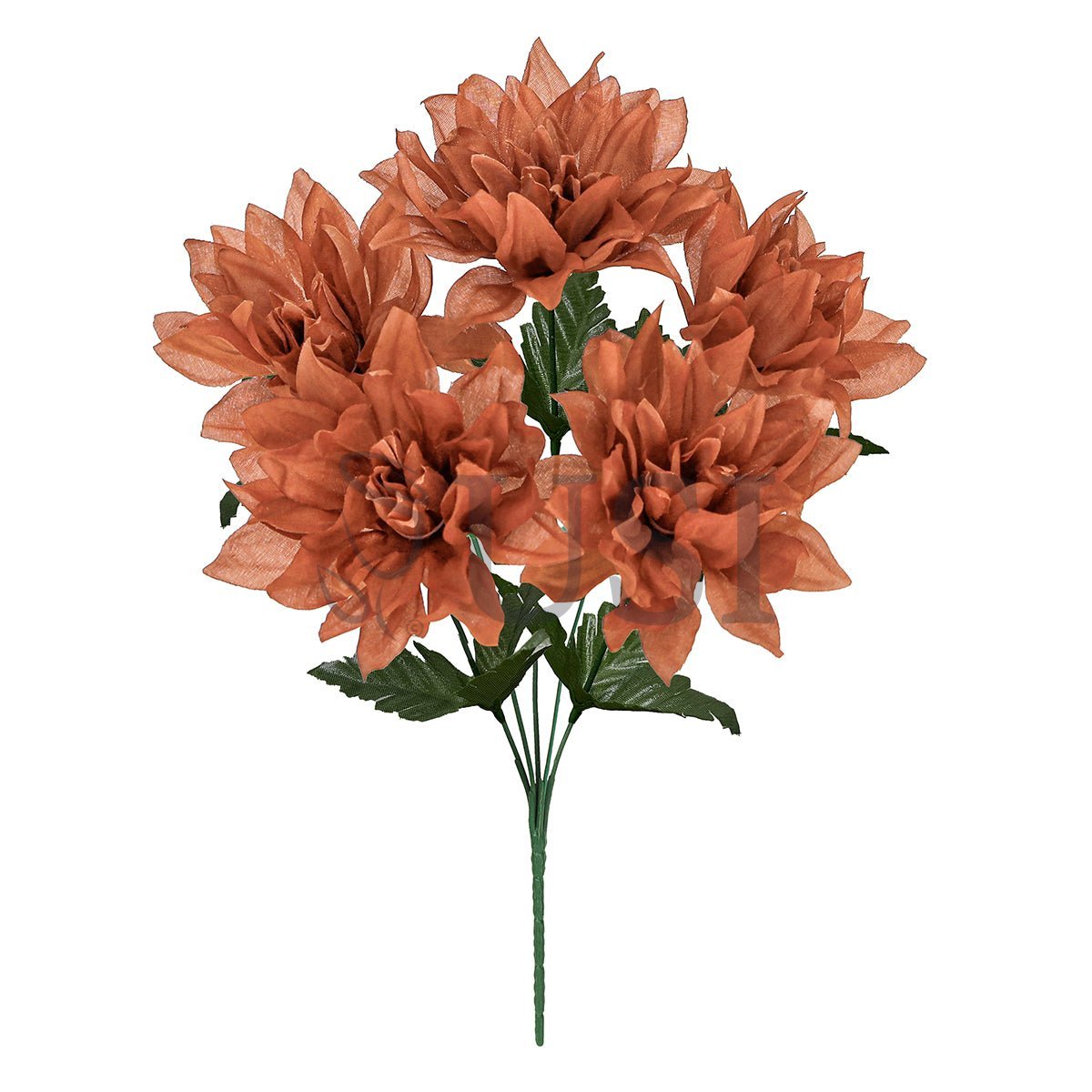 Standard Dahlia Flower Bush x5, 14in, Brown