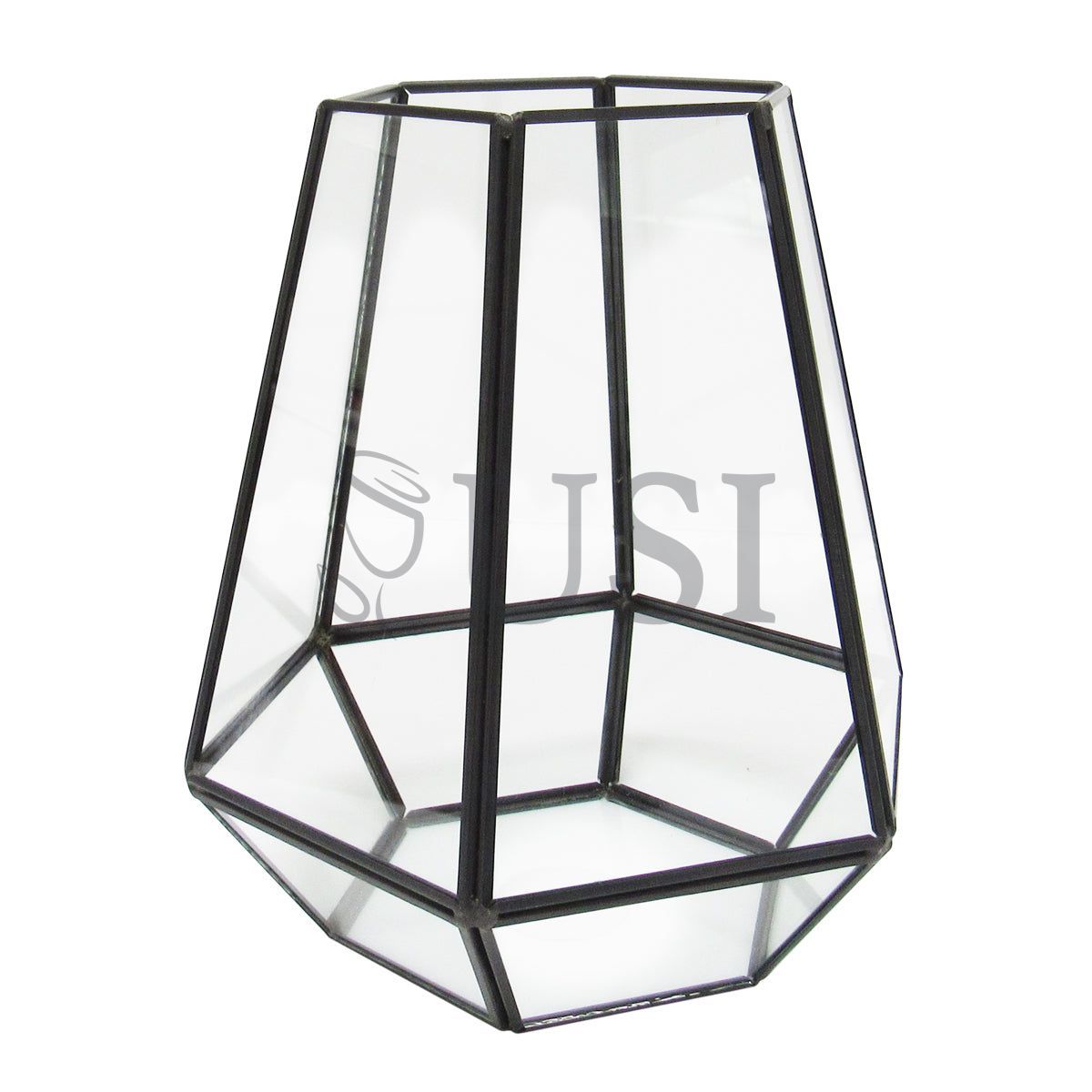 Geometric Hexagon Terrarium, 8in, Black