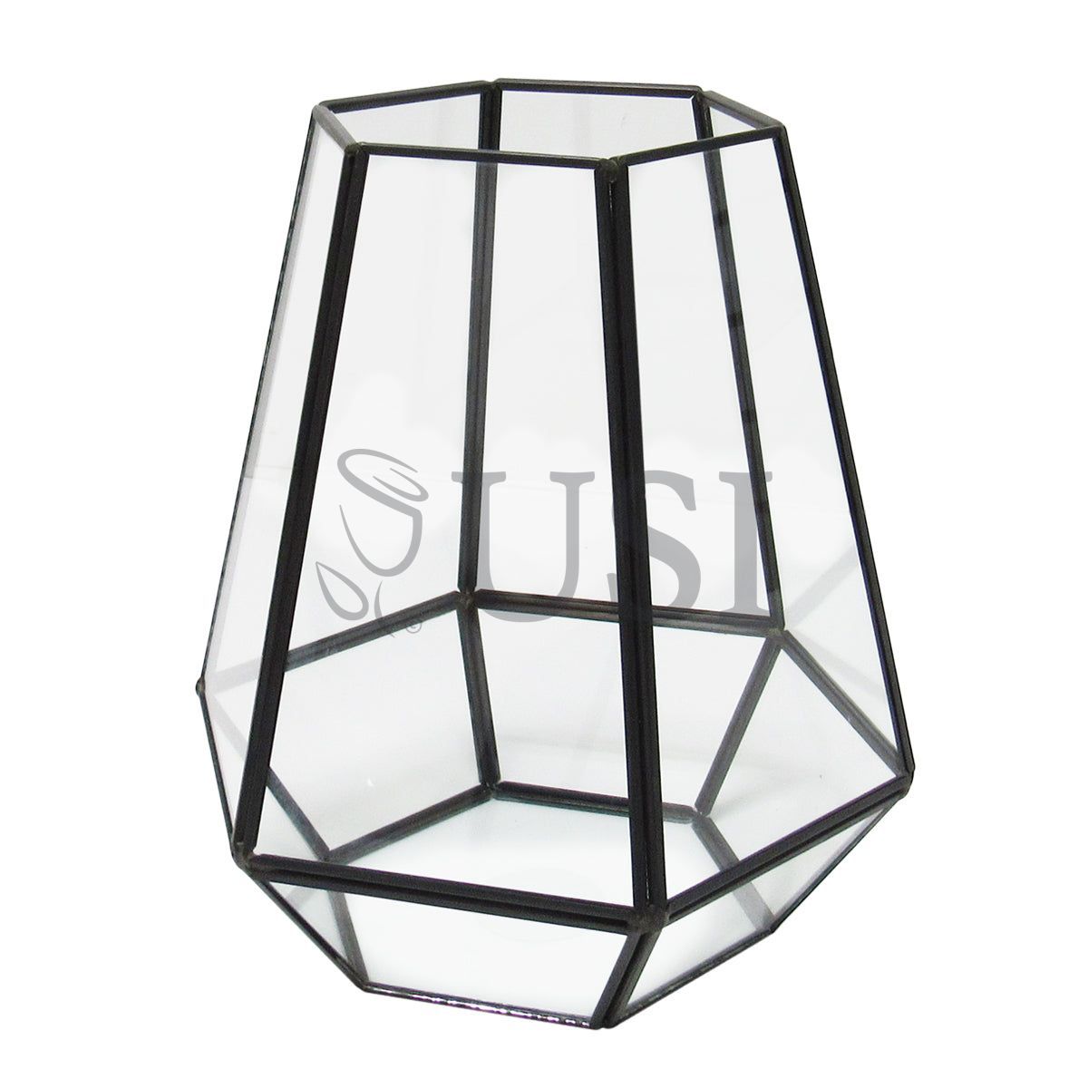 Geometric Hexagon Terrarium, 8in, Black