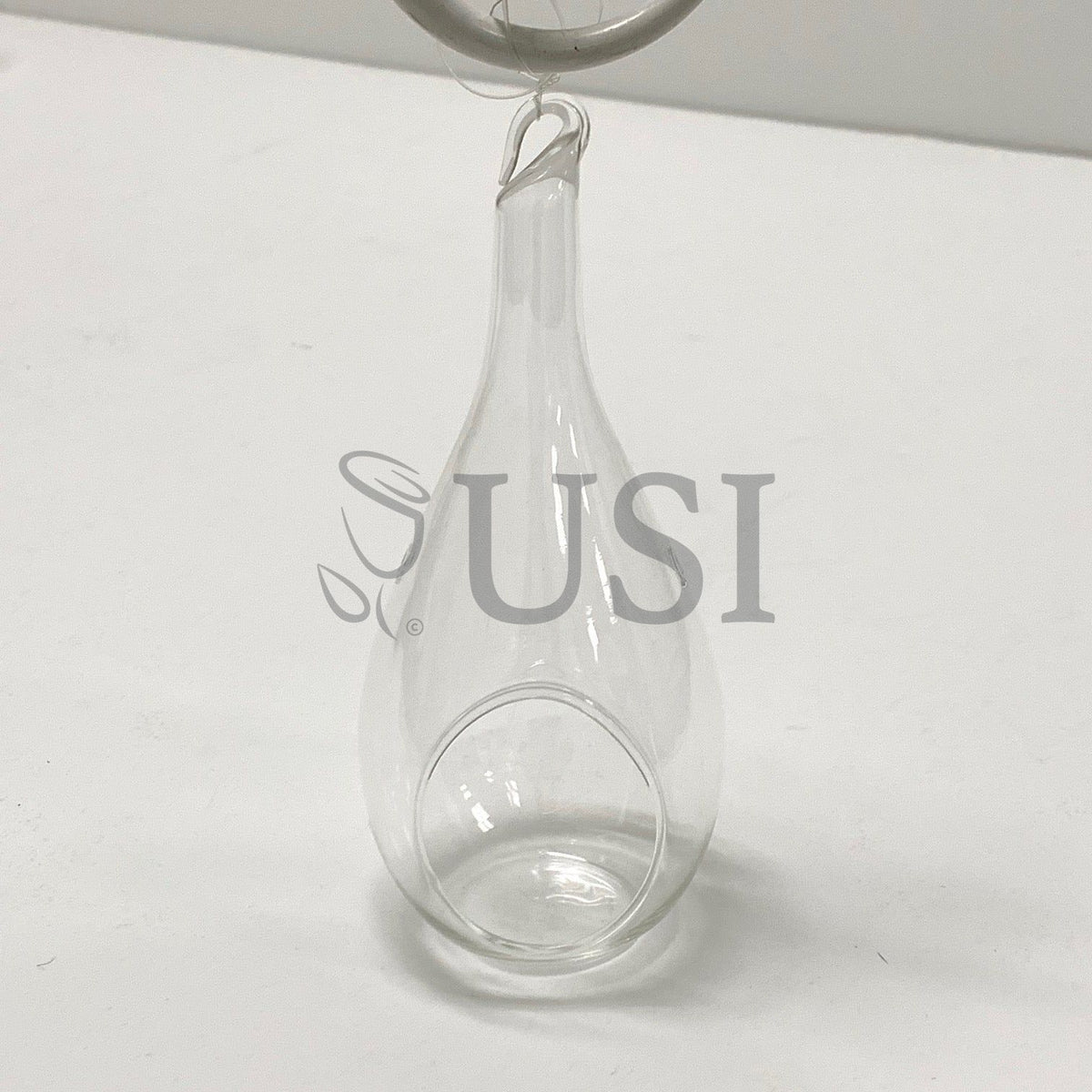 Long Hanging Terrarium, 7.4in, Clear
